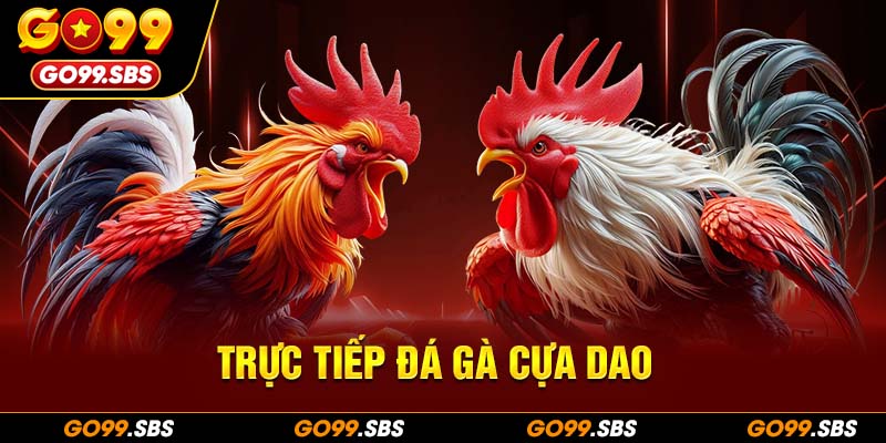 trực tiếp đá gà cựa dao