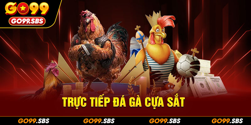 trực tiếp đá gà cựa sắt