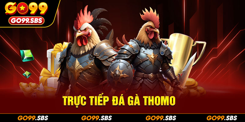 trực tiếp đá gà Thomo