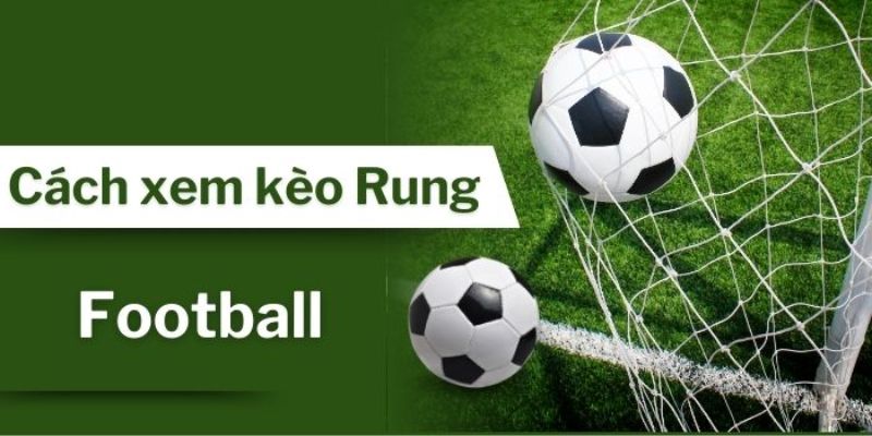 Theo dõi cách đọc kèo rung chuẩn xác